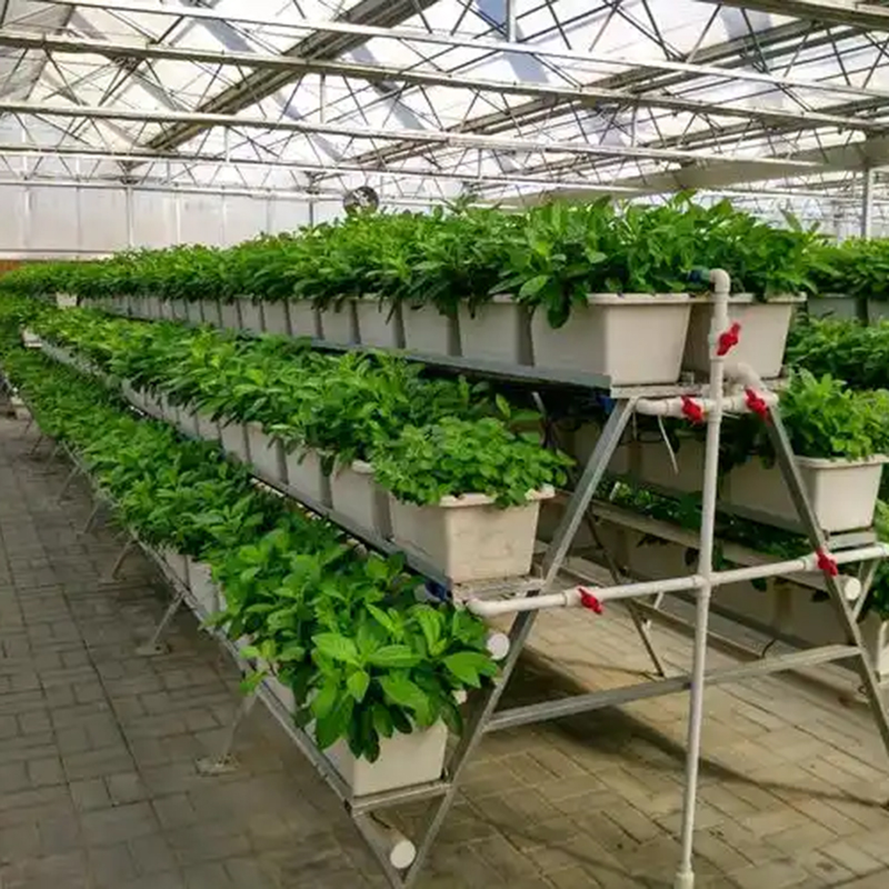 天门市植物工厂水培设备 - 方案