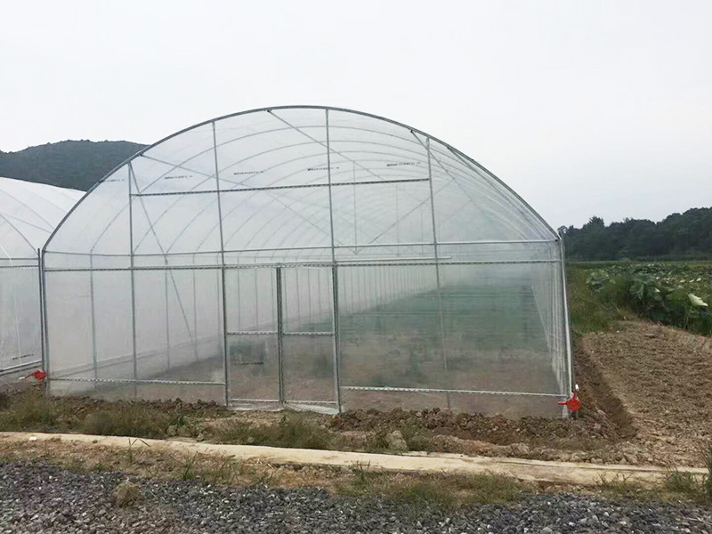天门市薄膜大棚鱼菜共生 - 哪里好